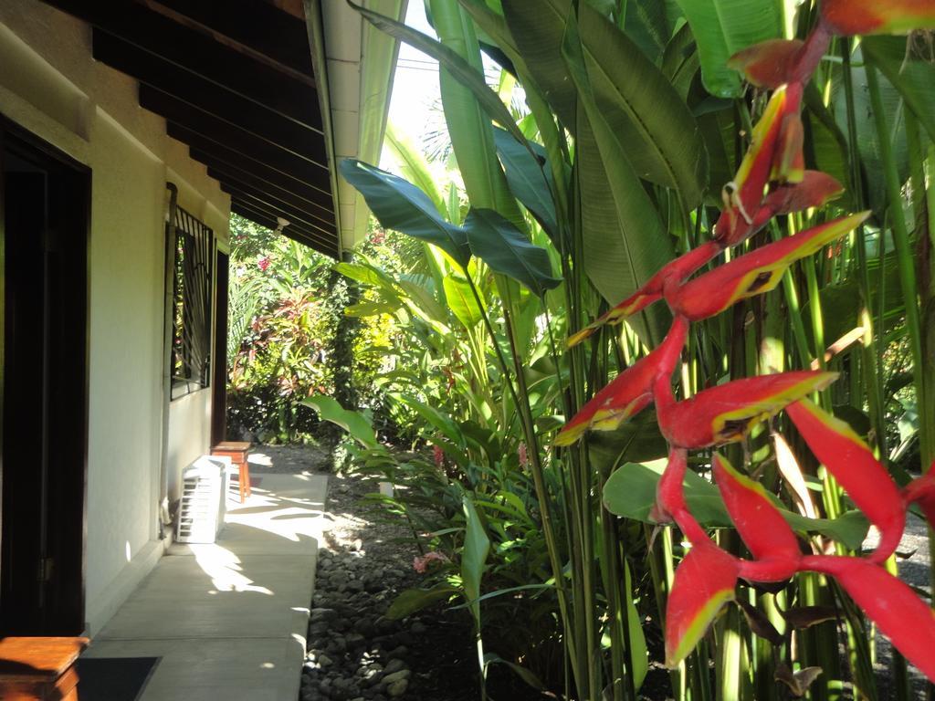 Hotel Cabinas Tropicales Puerto Jimenez