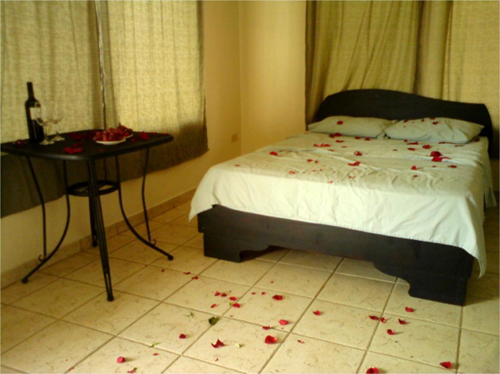 Hotel Blue Palm