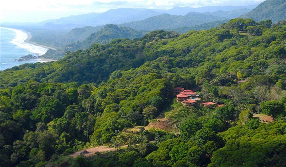 Alturas * Dominical