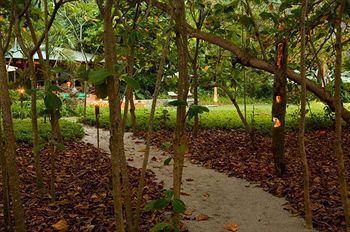 Latitude 10 Exclusive Beach Hotel Playa Santa Teresa (Puntarenas)