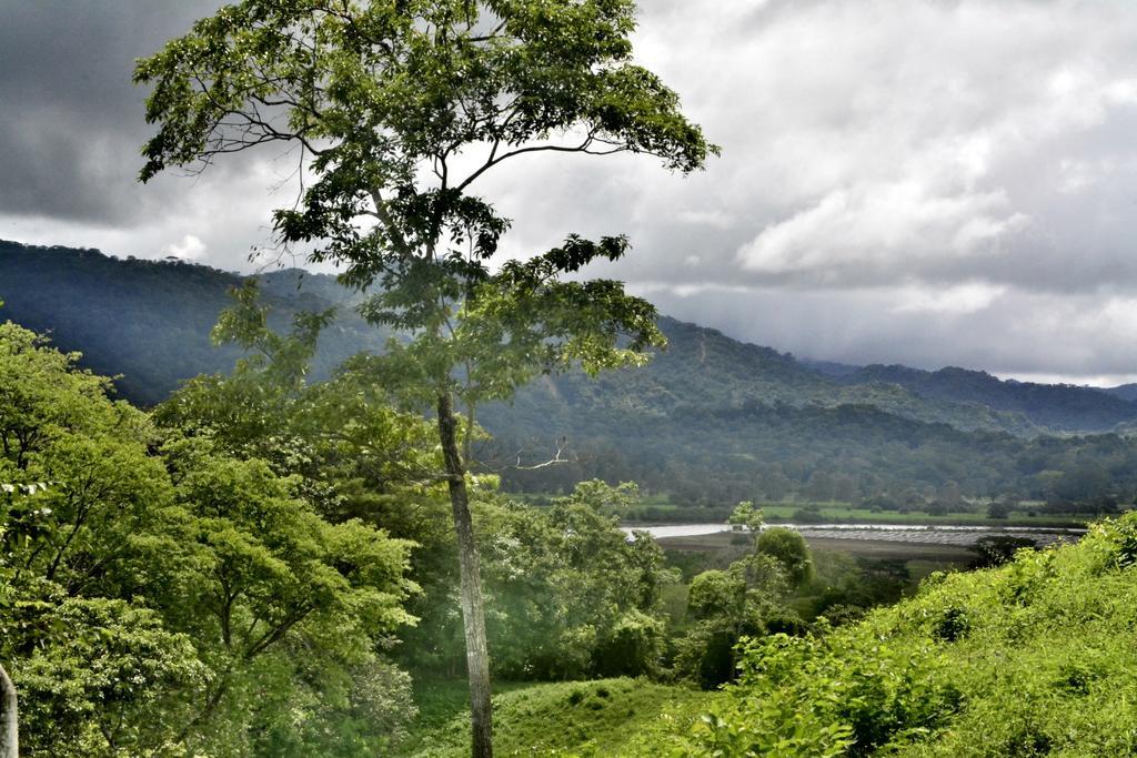 Cerro