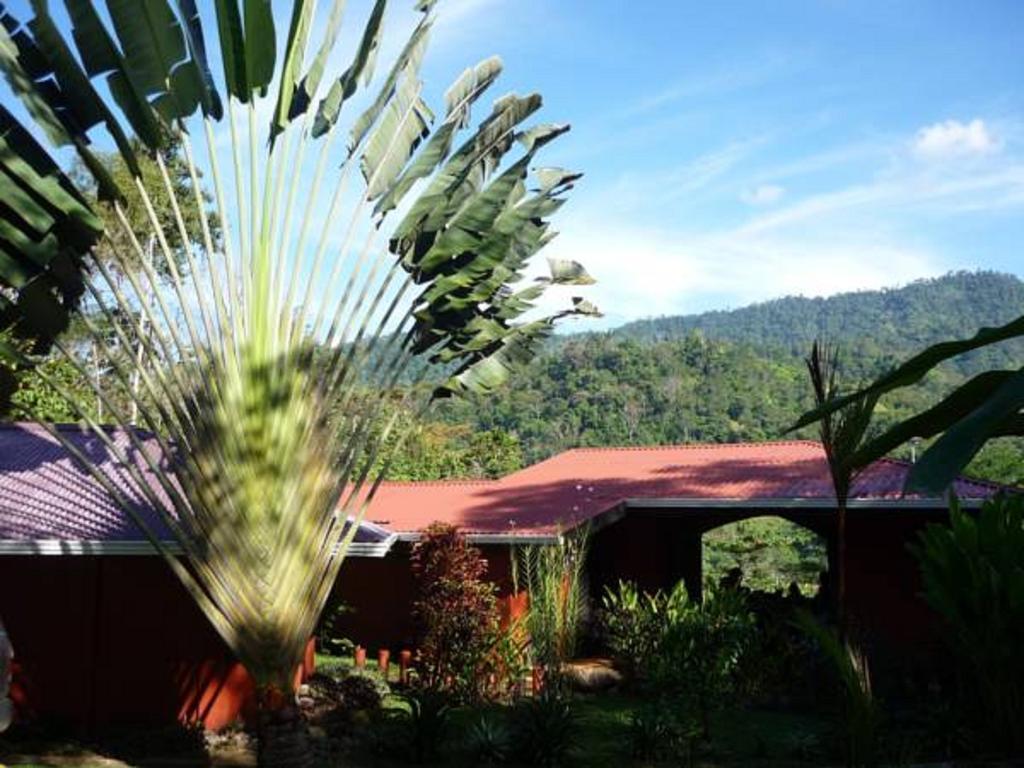 La Cacatua Hotel Uvita