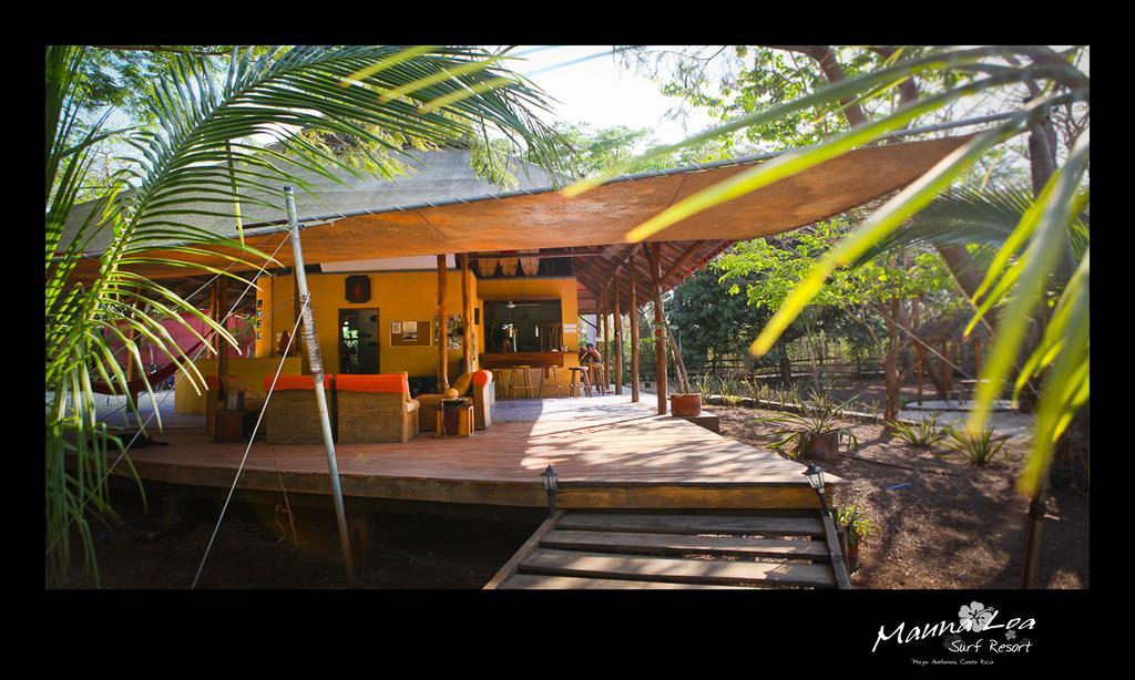 Hotel Mauna Loa 3*