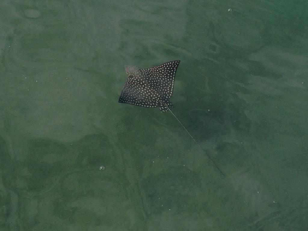 Hotel Fish Hook Marina