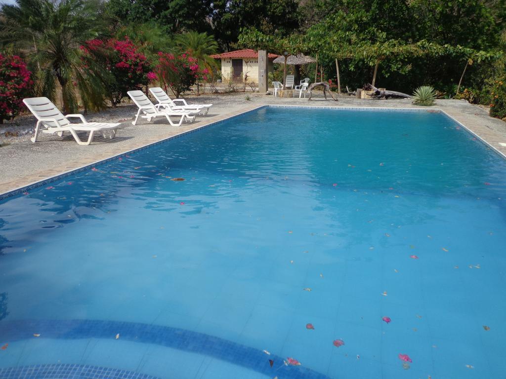 Holiday park House And The Pool *