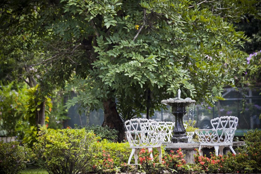 Hotel El Rodeo Boutique & Steakhouse 4*