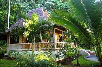 Bosque Del Cabo Rain Forest Puerto Jimenez