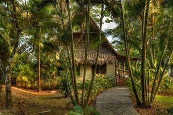 Bosque Del Cabo Rain Forest Hotel Puerto Jimenez