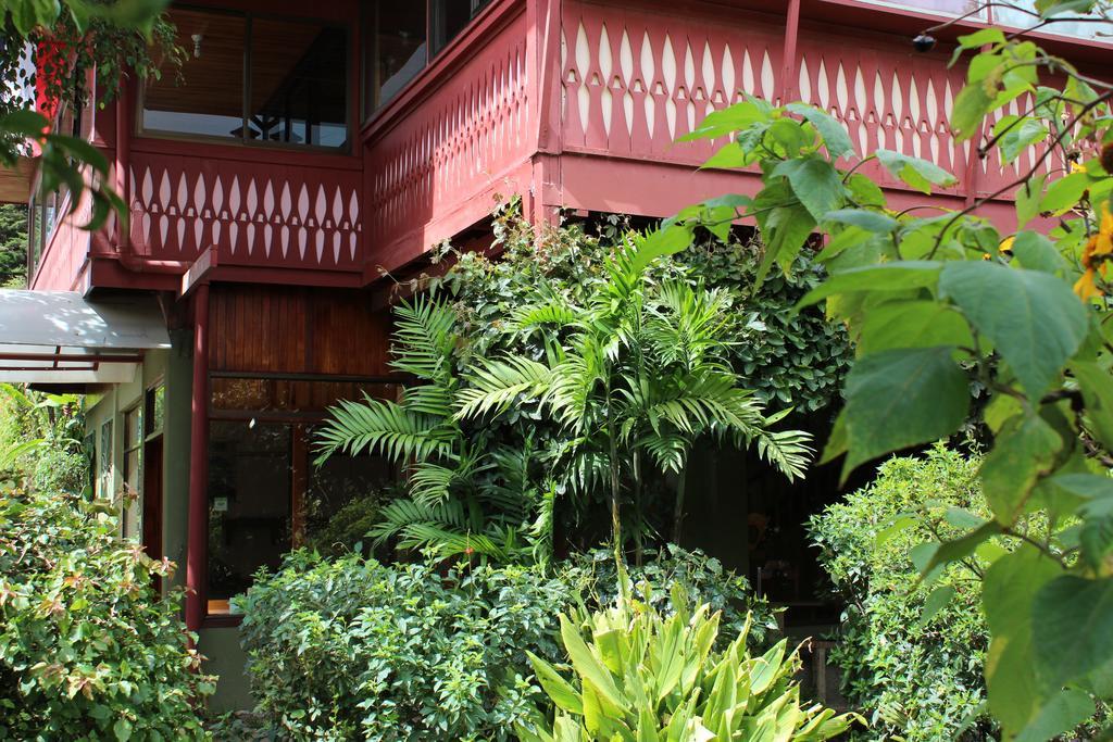 Bell Bird Hotel Monteverde
