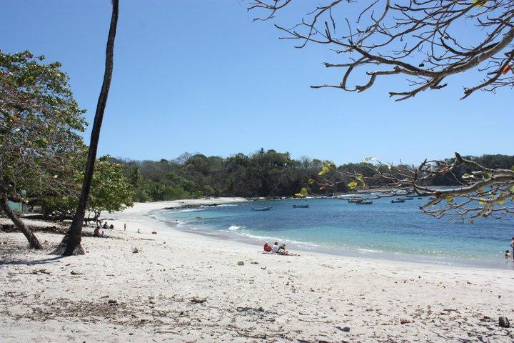 Hostel Cabinas Surf Arribadas Ostional Wildlife Refuge