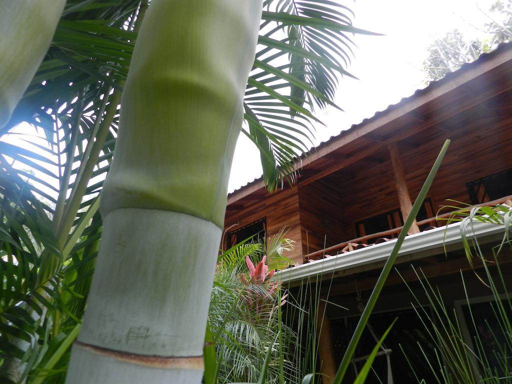 Anam Playa Santa Teresa (Puntarenas)
