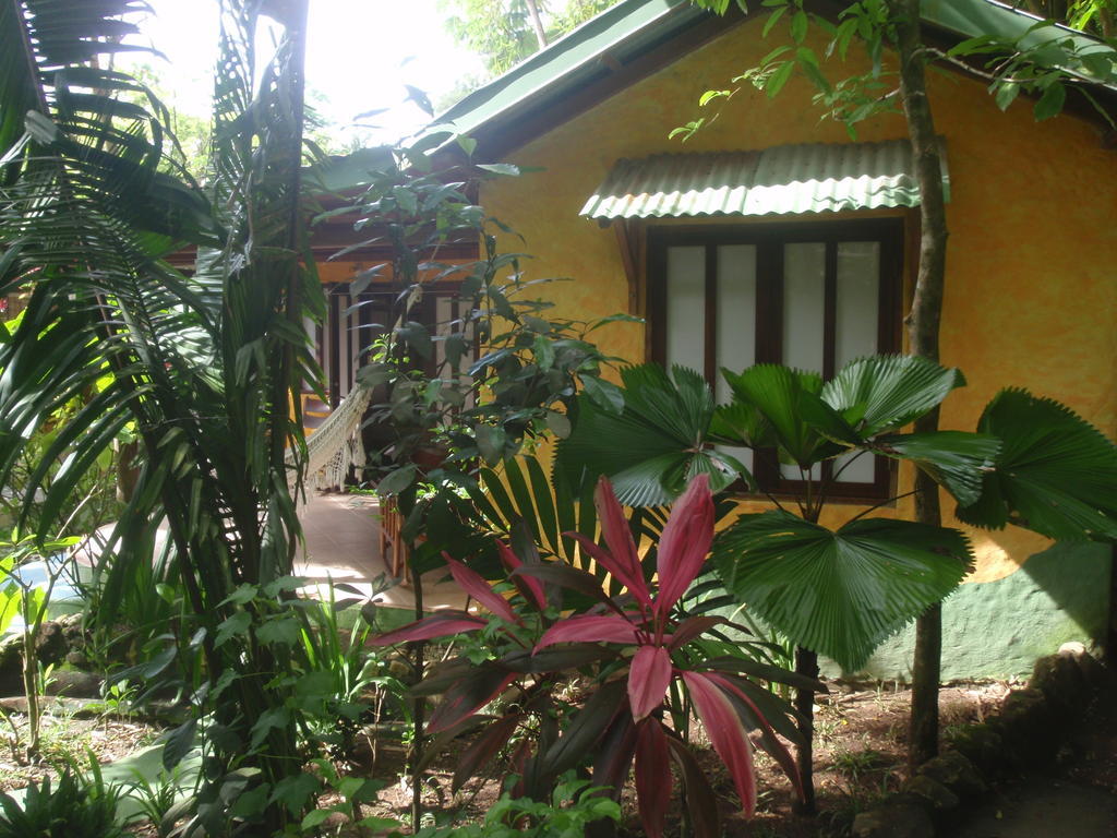 Hotel Pachamama Tropical Garden Malpais