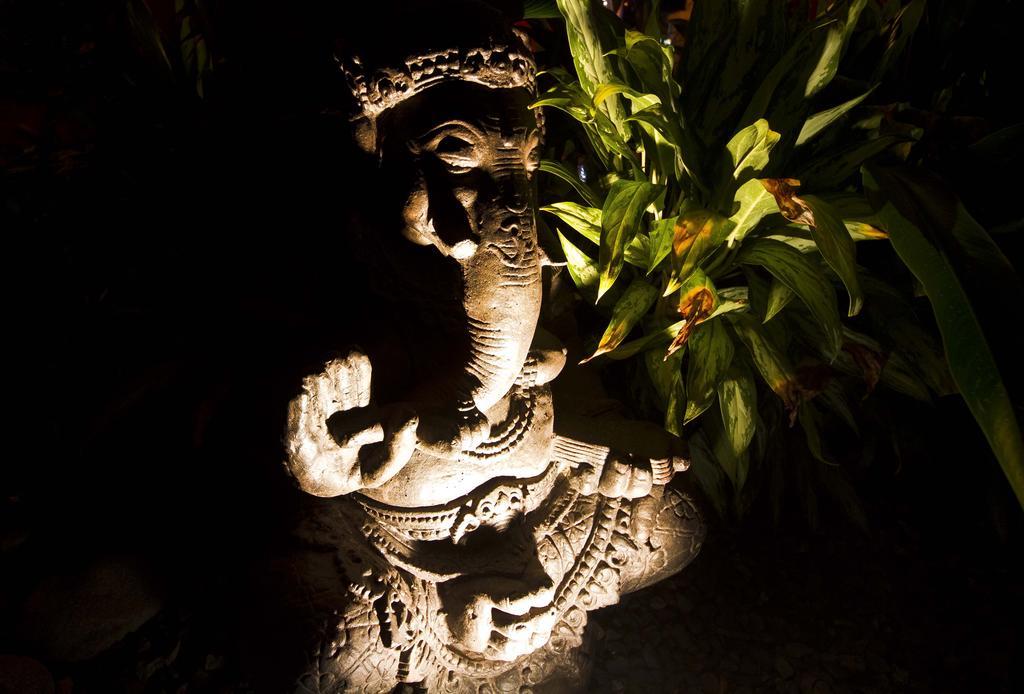 Buddha House Boutique Jaco