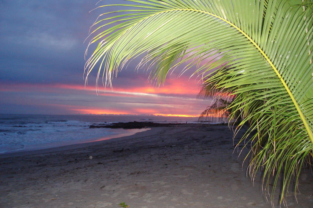 Casa Zen & Yoga Center Playa Santa Teresa (Puntarenas)