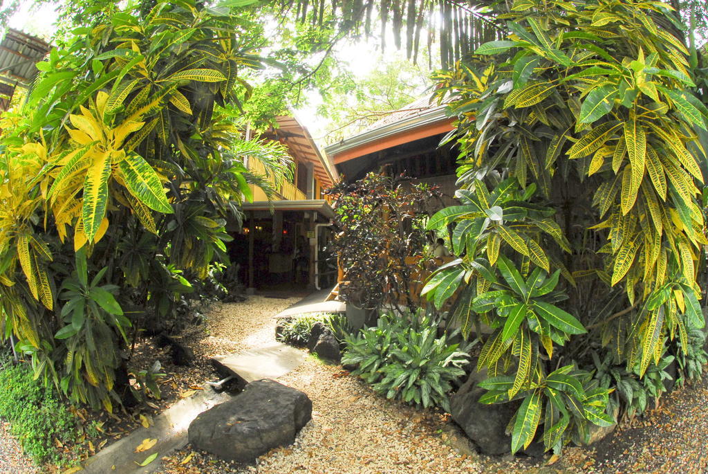 Bed & Breakfast Casa Zen & Yoga Center Playa Santa Teresa (Puntarenas)