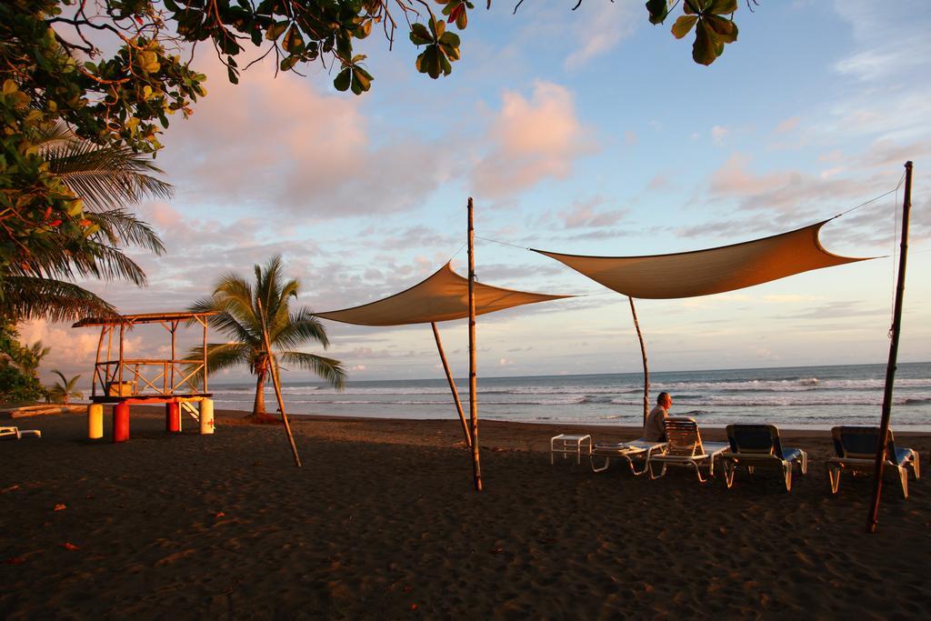 Bed & Breakfast Rafiki Camp Matapalo (Puntarenas)