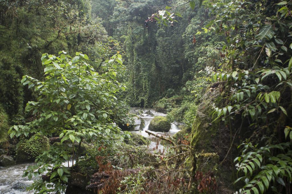 Lodge De Montana Suria