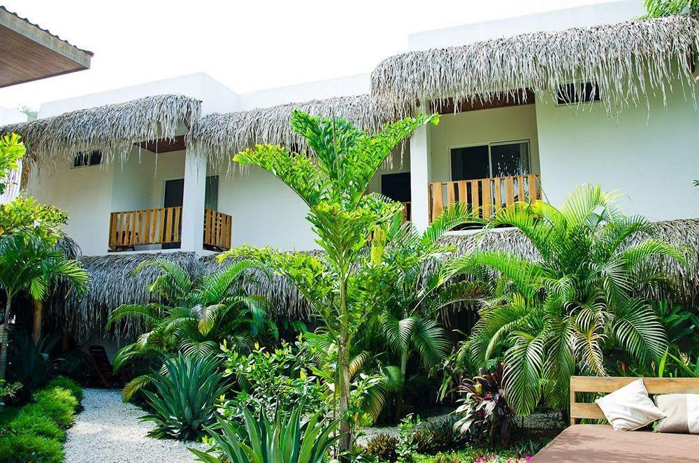 Hotel Outsite Santa Teresa Playa Playa Santa Teresa (Puntarenas)