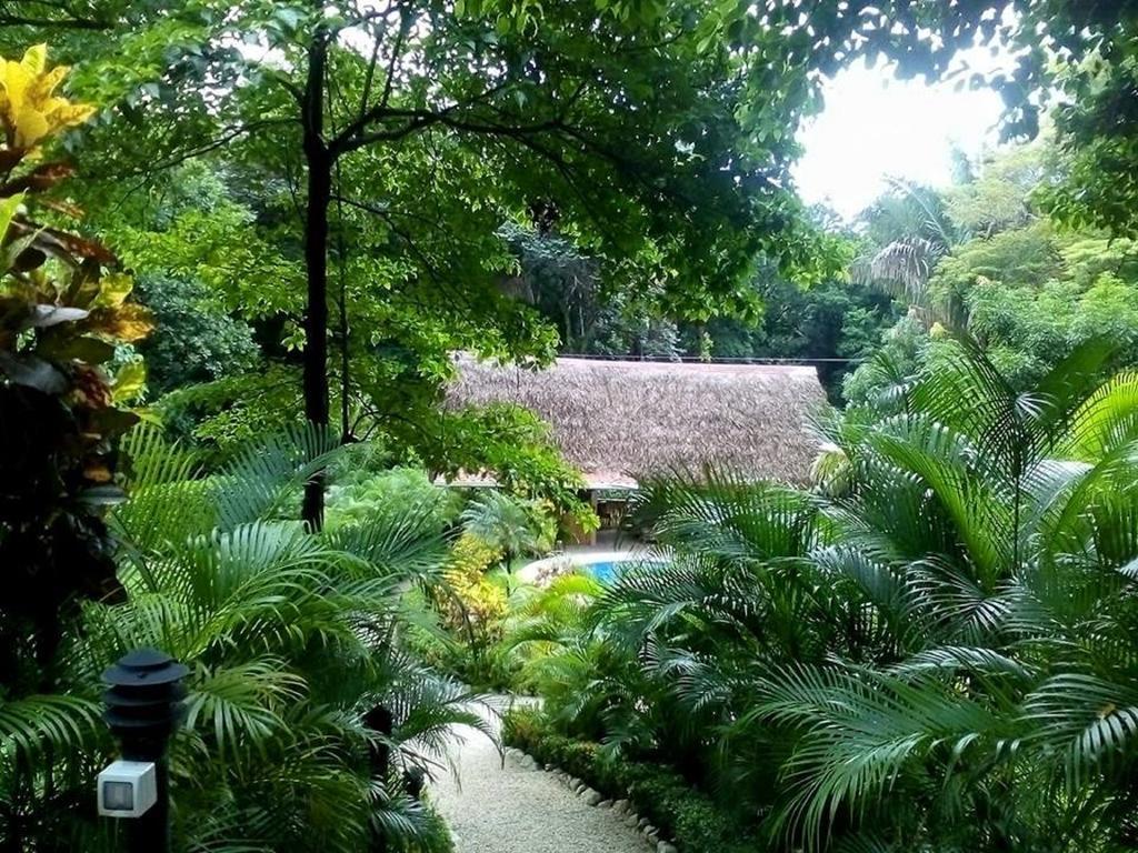 Aparthotel Paraiso
