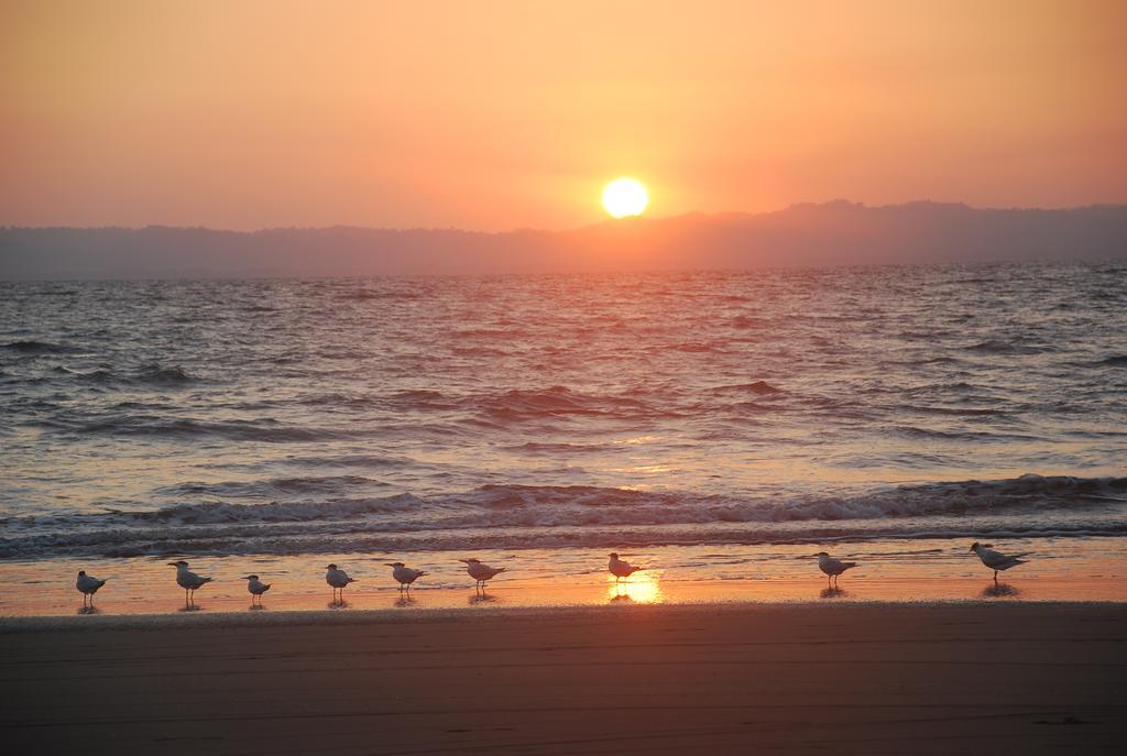 Cabinas Au Coeur Du Soleil