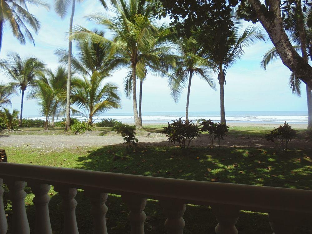 Delfin Front Hotel