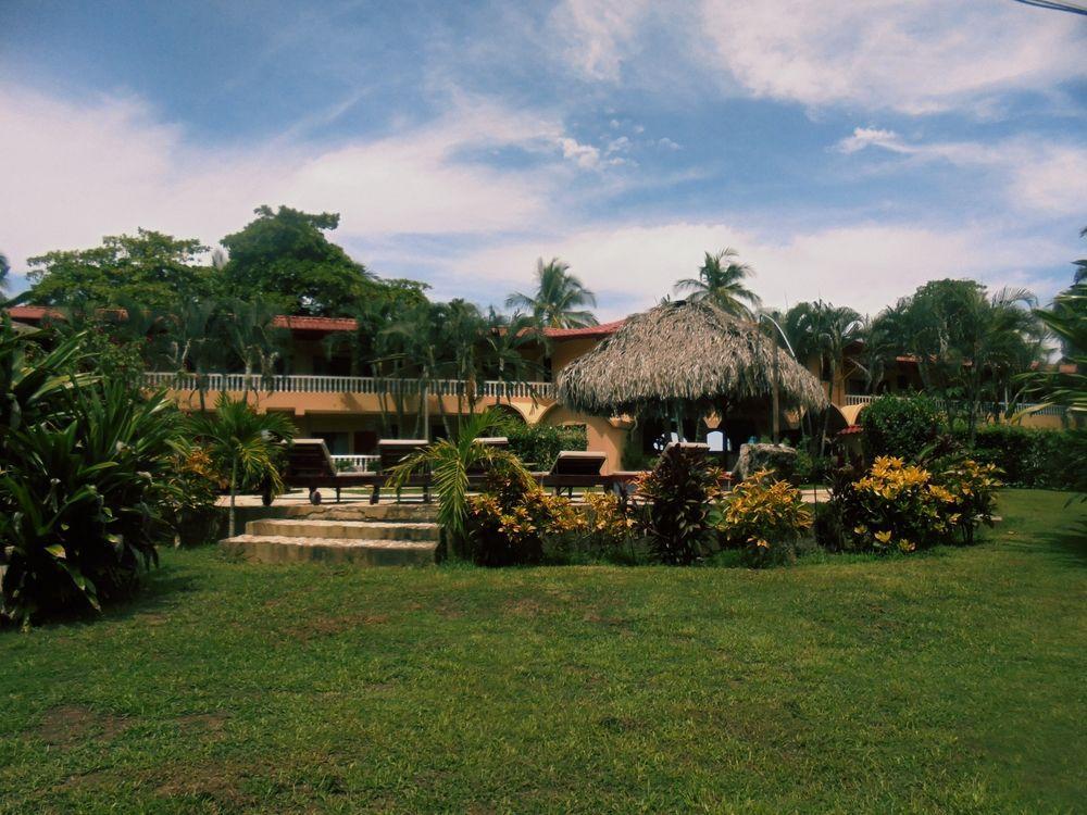Delfin Front 3*