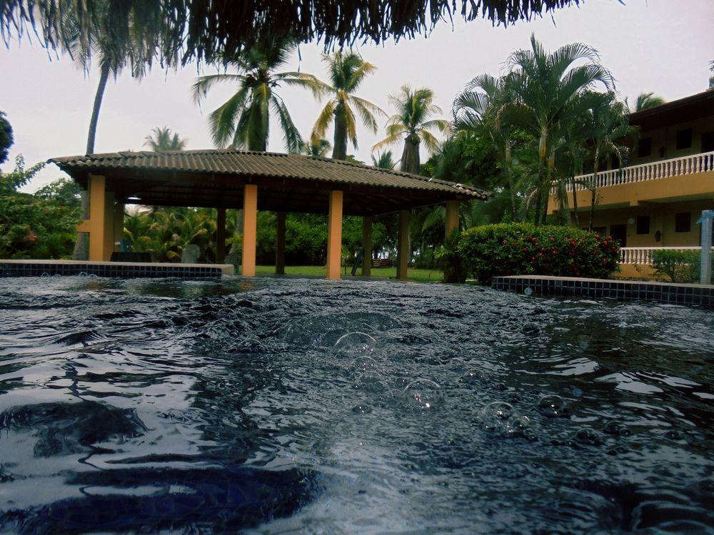 Delfin Front 3*