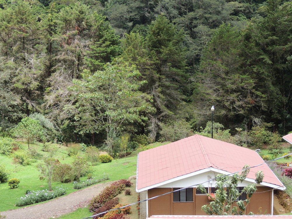 De Montana Suria Lodge