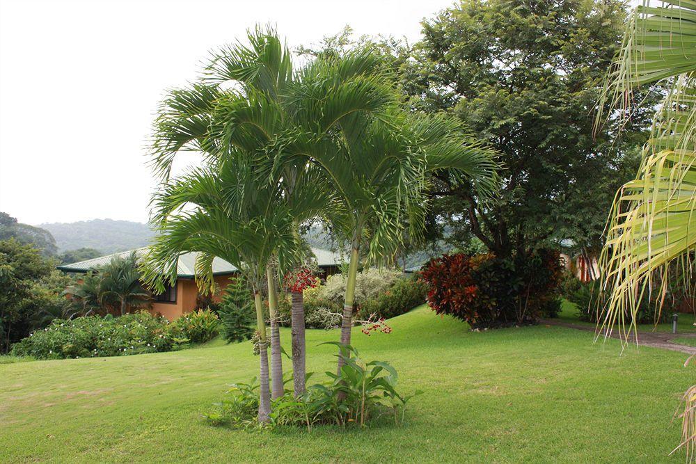 Boutique Luna Azul 4* Ostional Wildlife Refuge