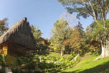 Paraiso 2*