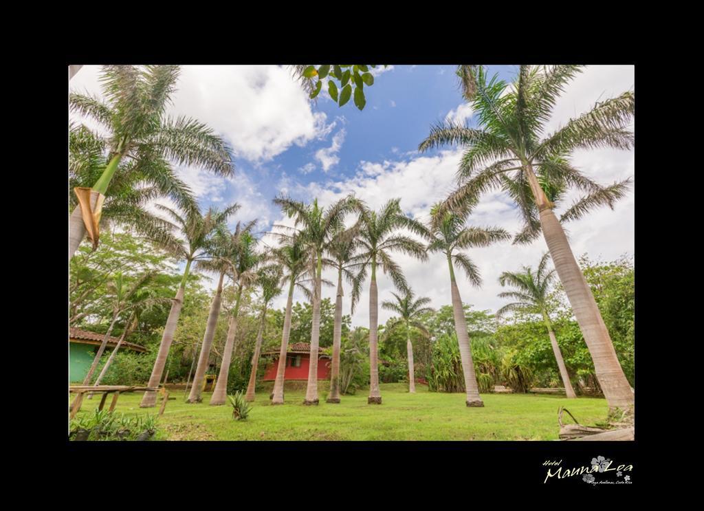 Hotel Mauna Loa 3*