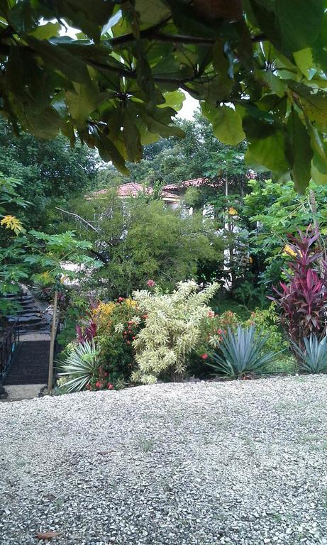 House And The Pool