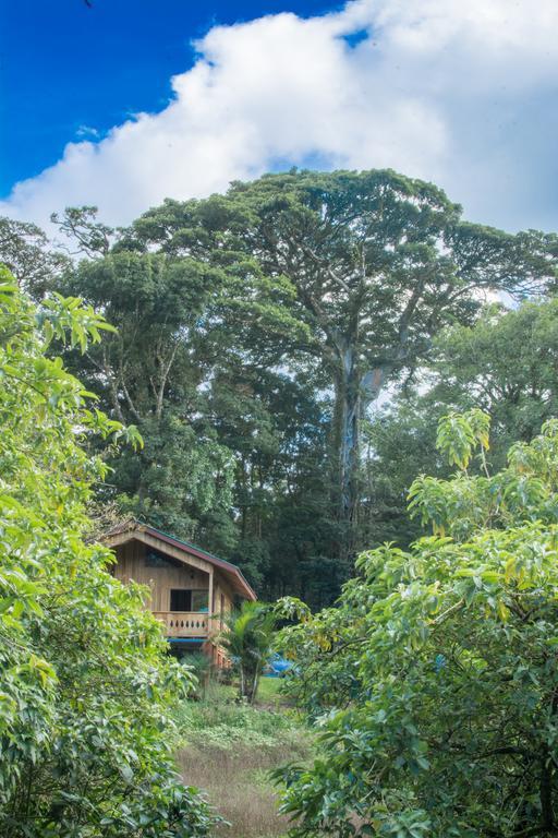 Holiday home Hoja