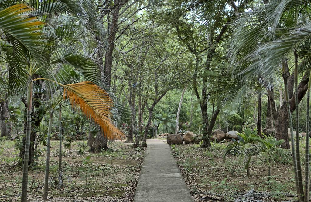 Canon De La Vieja Lodge Liberia