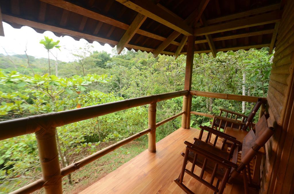 Macaw Lodge