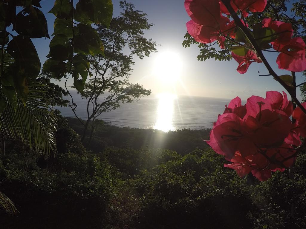 Stunnig Ocean View * Montezuma