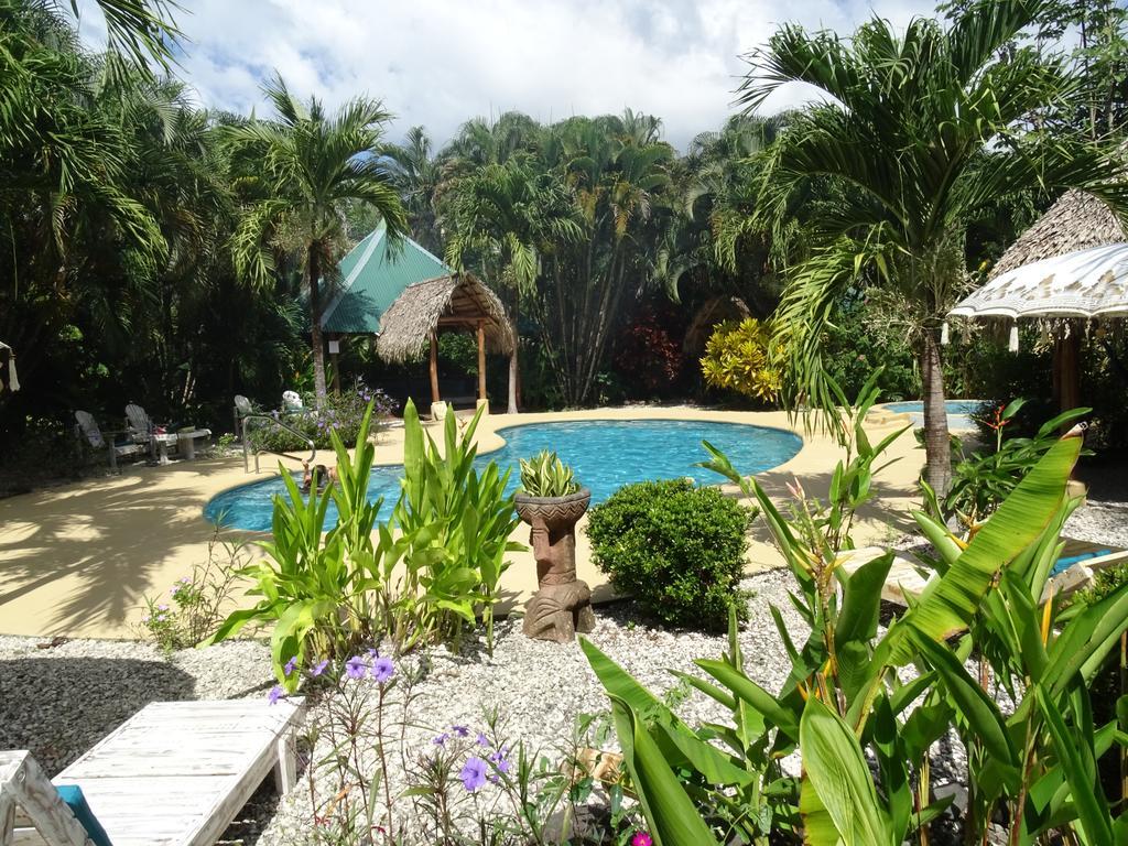 Indigo Yoga Surf Hotel 2*