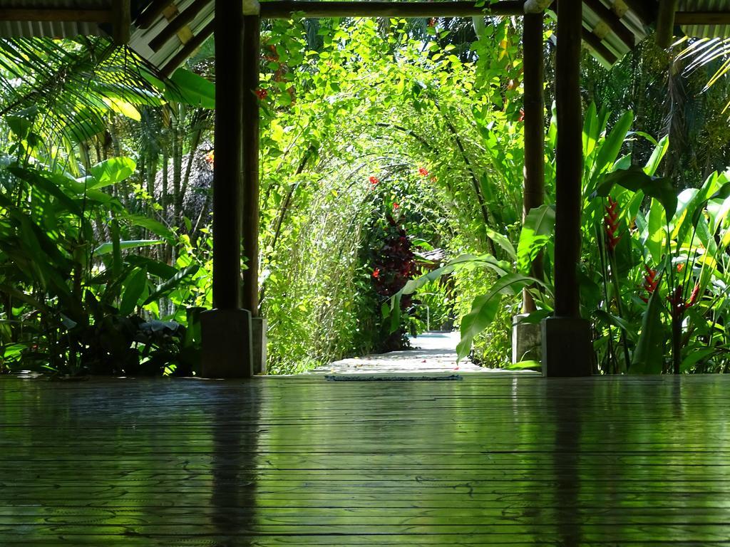 Indigo Yoga Surf Hotel 2*
