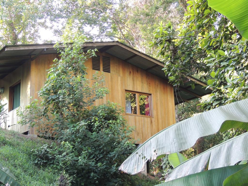 Bajo Bosque Drake Chalet *