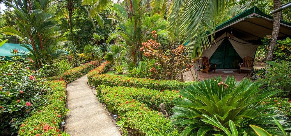 Bed & Breakfast Rafiki Camp *