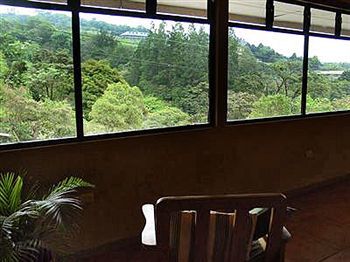 Golden Forest Monteverde