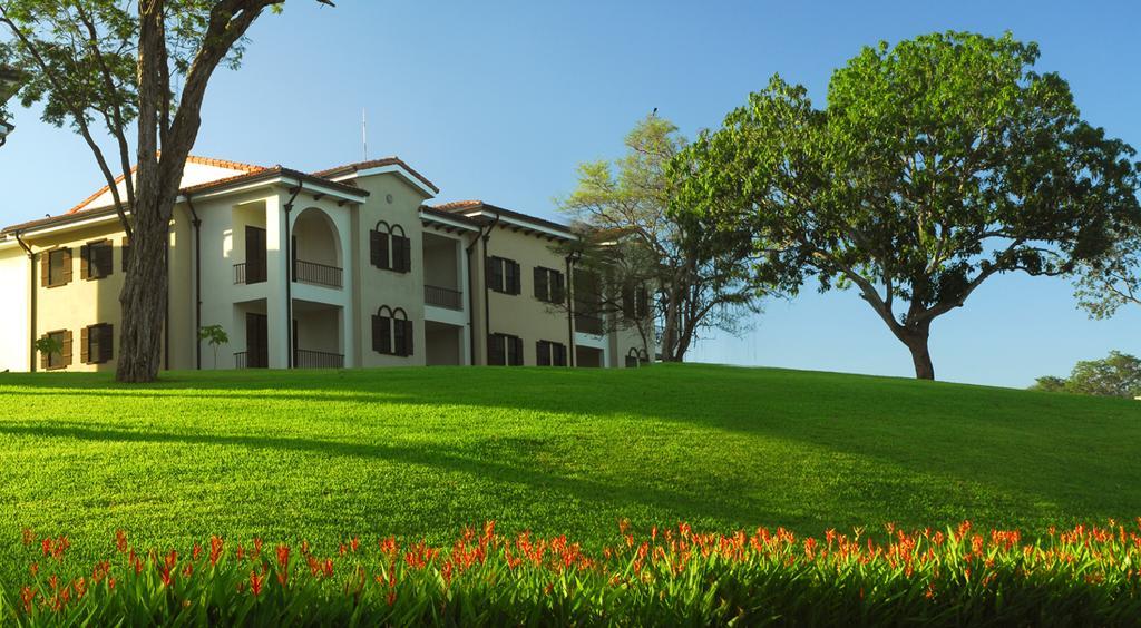 Pacifico Holiday park 4*