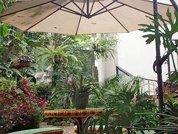 Casa Lima San Jose (San Jose)