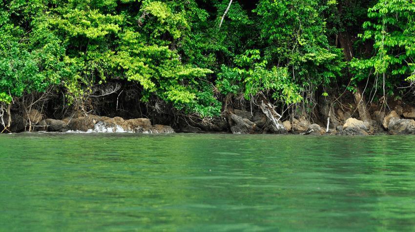 Hotel Sierpe River