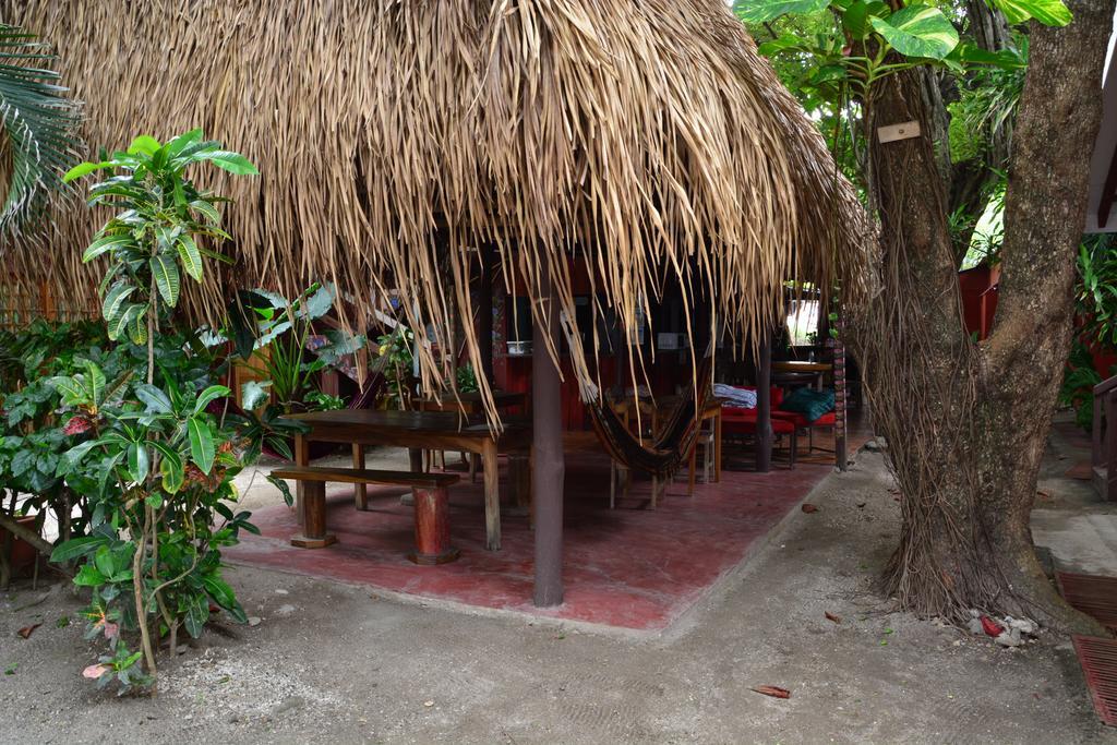 Hostel Casa Valeria Samara - Cuartos Samara