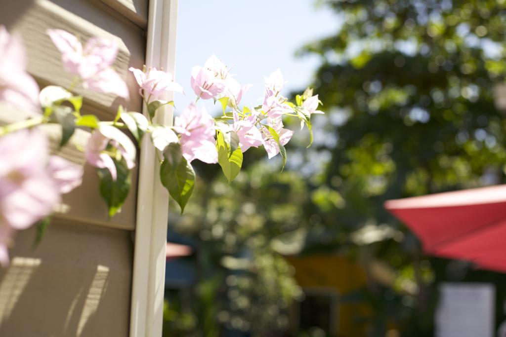 Quiet Place (adults Only) Hotel Jaco