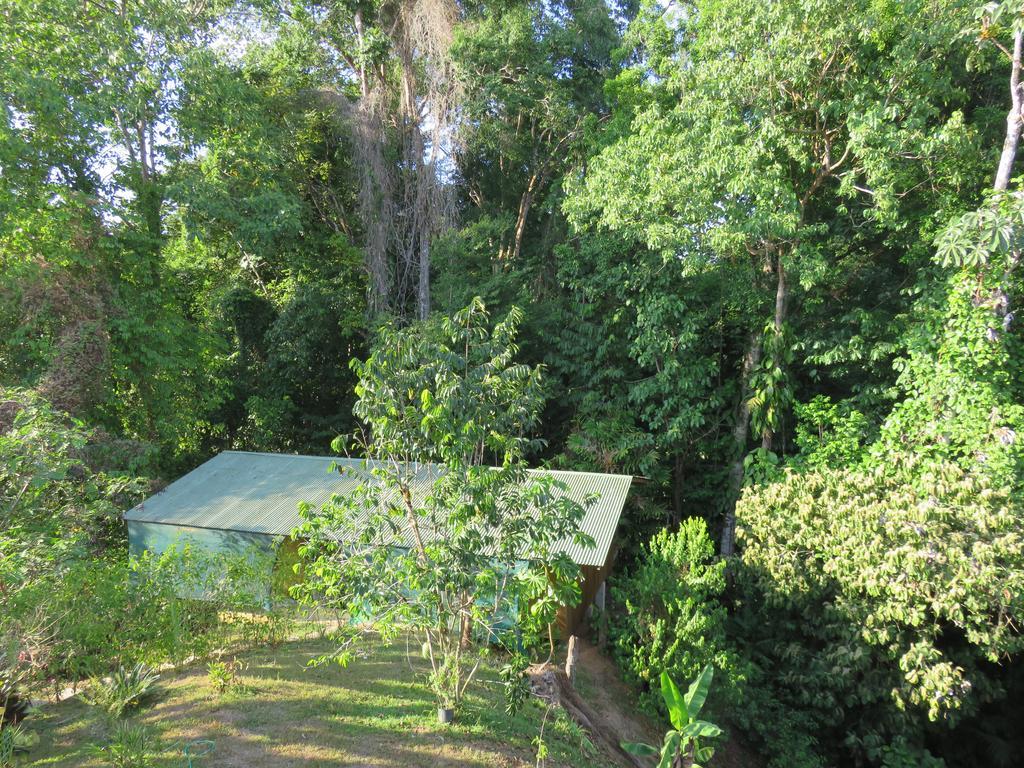 Bajo Bosque Drake Chalet *