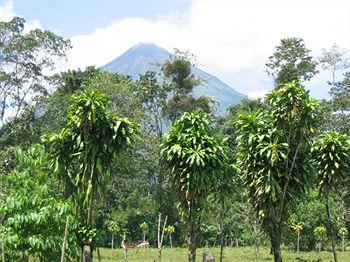 Arenal