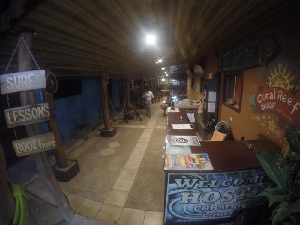 Coral Reef Surf And Camp