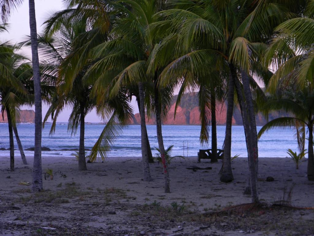 Bed & Breakfast La Puerto Carrillo